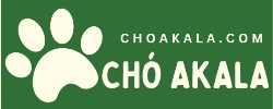 choakala.com